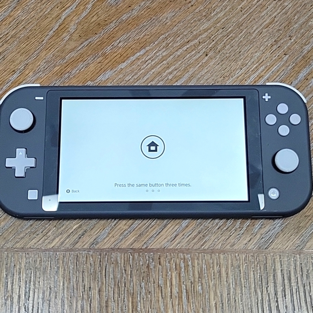 Nintendo Switch Lite